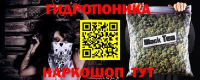 спиды Краснознаменск