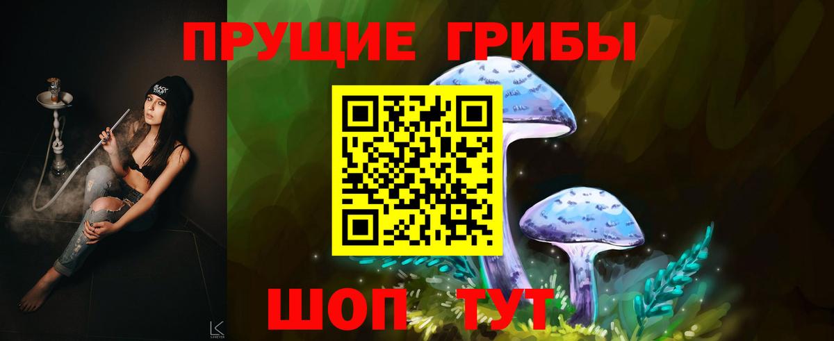 Галлюциногенные грибы Psilocybe Черняховск