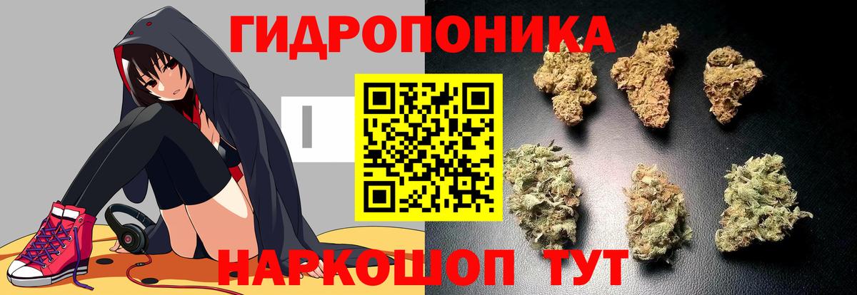 Черняховск  МАРИХУАНА сатива  Каннабис SATIVA & INDICA  Вход с VPN 